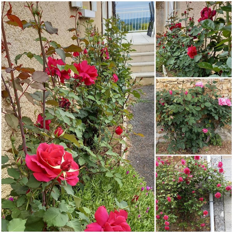 La Mesange Bleue Bed and Breakfast Ecuras Εξωτερικό φωτογραφία